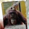 円山動物園の年間パスポートを入手